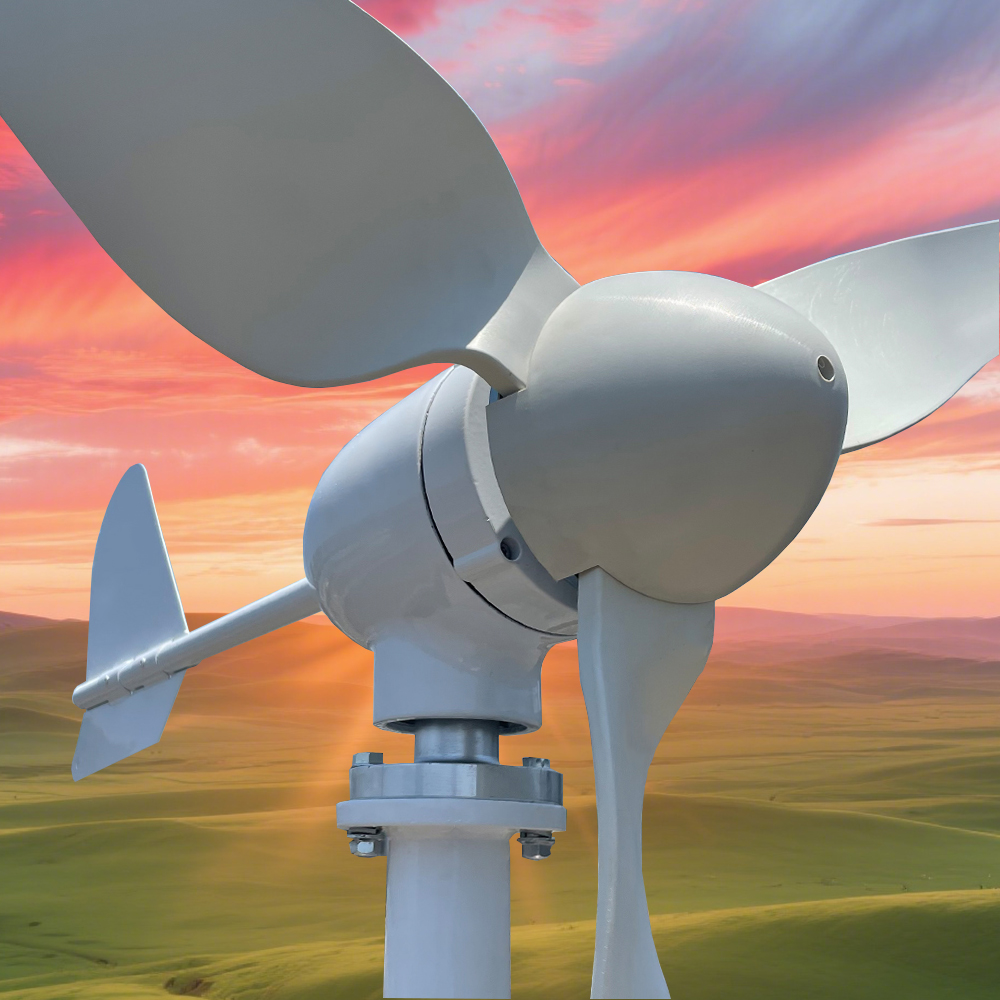 Renewable Energy Generation - Generazione di elettricità Off Grid Sistema
