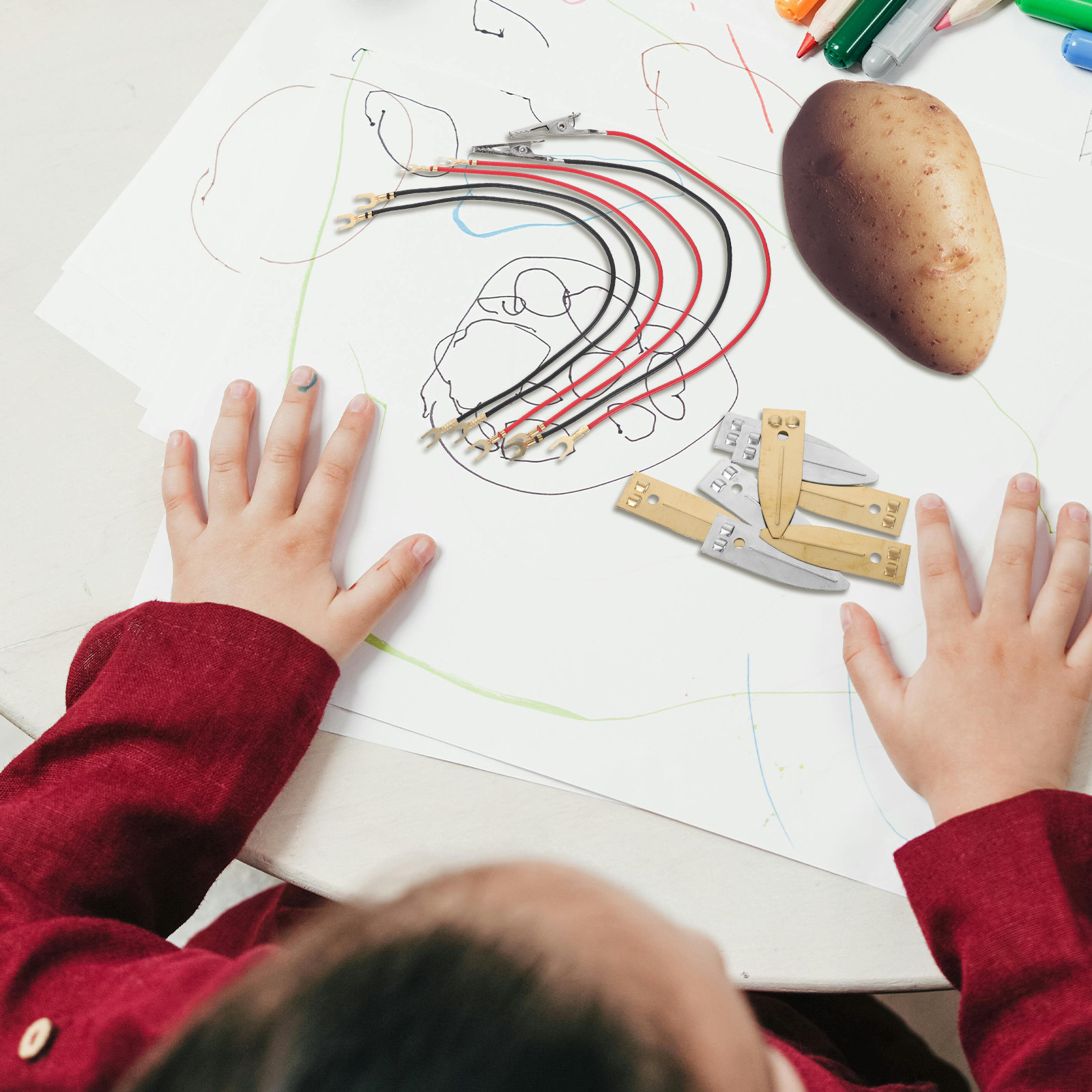 Kit scientifico per batterie a - Renewable Energy Kids recensione e prezzo