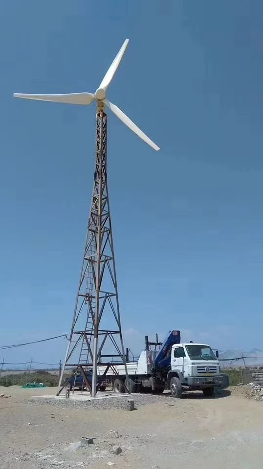 Turbine Eoliche CE Polonia Ger - Wind Turbine Generator recensione e prezzo