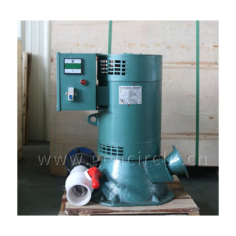 Generatore a turbina Turgo da  - Renewable Energy Generation recensione e prezzo